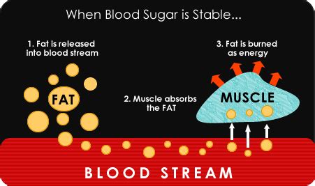 Blood Sugar Stabilization