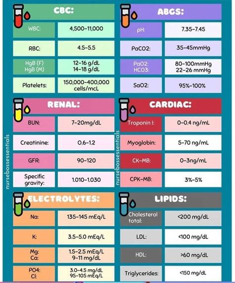 Blood Tests: Types, Functions & What They Reveal.
