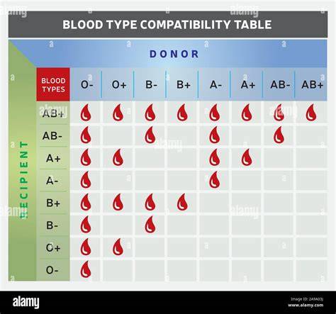 Blood Type Donor Chart