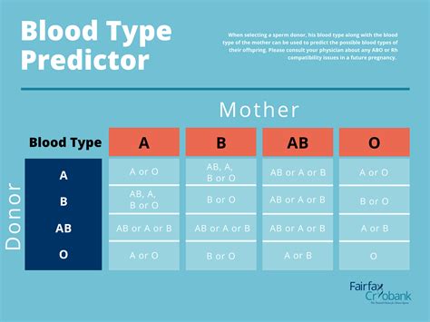 Blood Type Genetic Chart