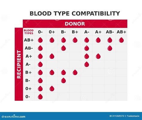 Blood Types And Donors Chart
