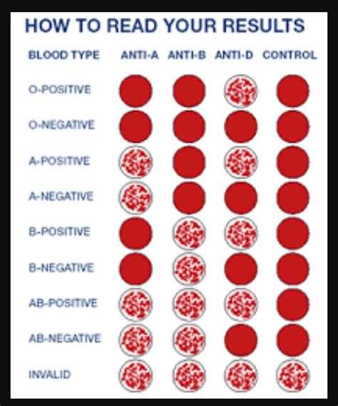 Blood Typing Practice Worksheet