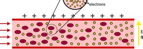Blood conductivity level