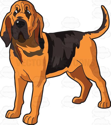 Bloodhound Cartoon Dog: The Lovable Canine Detective