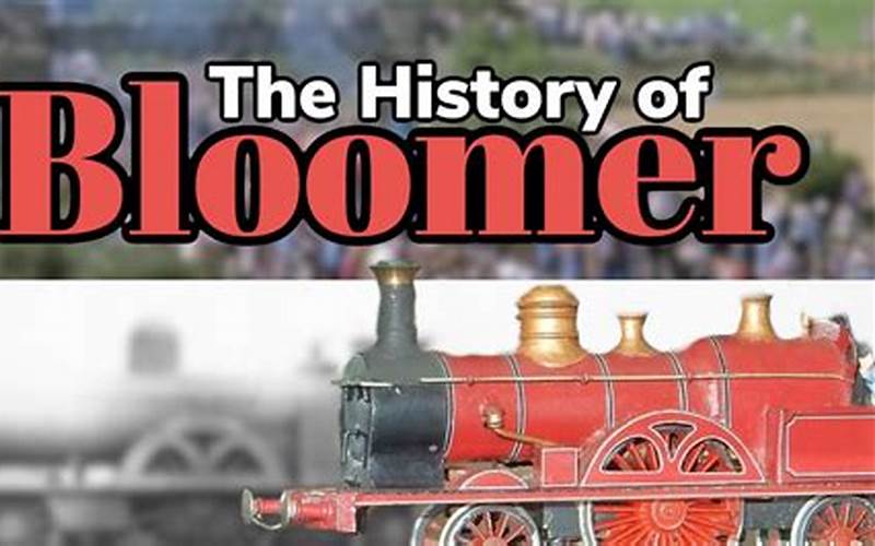 Bloomer Fair History