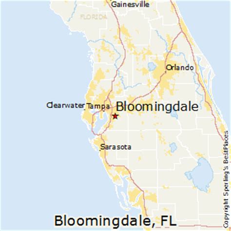 Bloomingdale Florida Street Map 1206875