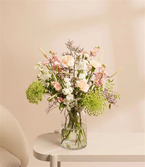 Bloomon Einmalig