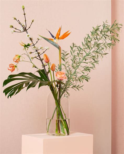 Bloomon Login Nl