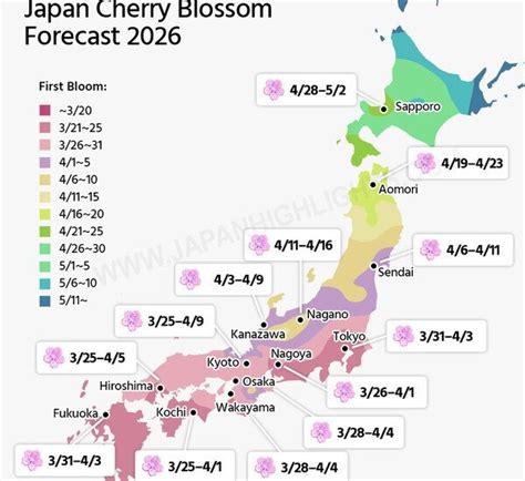Blossom July 3 Breakdown