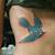 Blue Bird Tattoo Meaning