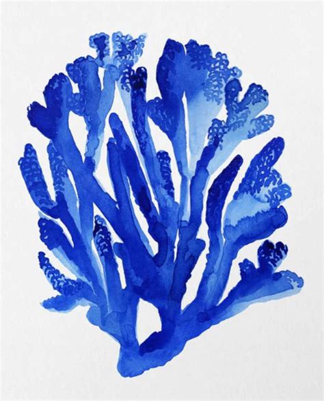 Blue Coral Prints