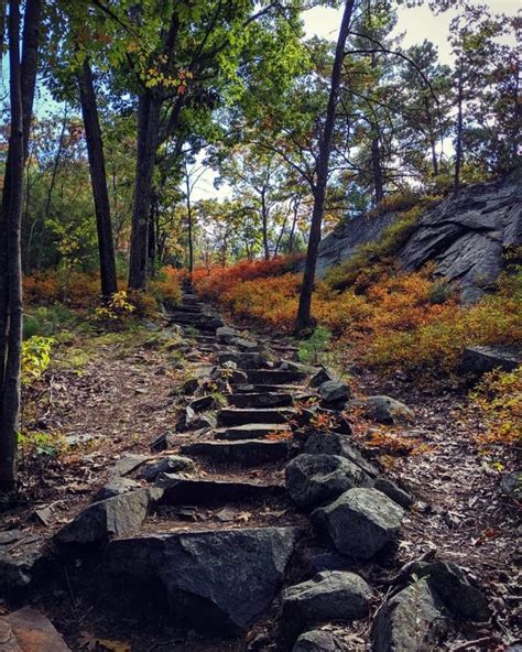 10Best Day Trip Explore Blue Hills' Trails, Moments Away from Boston