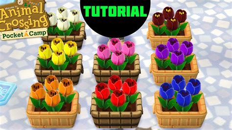Blue Tulips - Animal Crossing: Pocket Camp