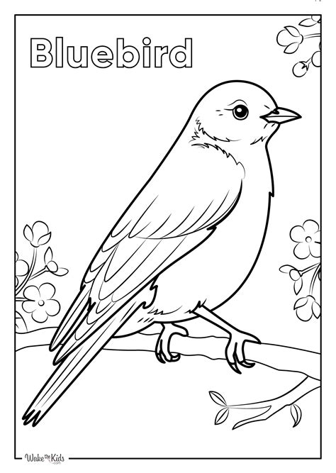 Blue Bird Coloring Page