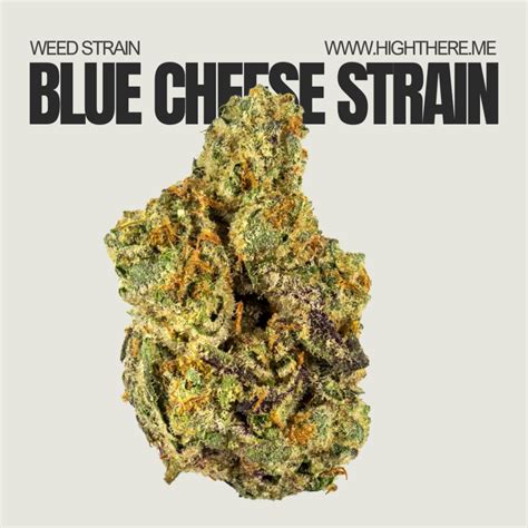 Blue Cheese Weed Effects
