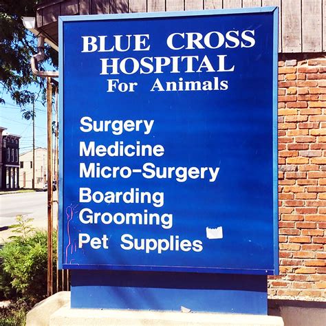 Top-Quality Care for Your Furry Friends: Blue Cross Animal Hospital in Louisville, KY