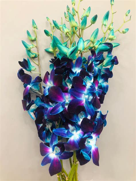 Blue Dendrobium Bouquet