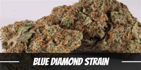 Blue Diamond Weed
