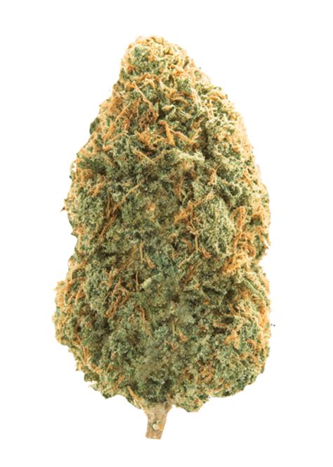 Blue Glue Weed