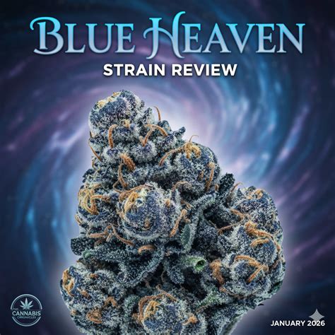 Blue Heaven Weed