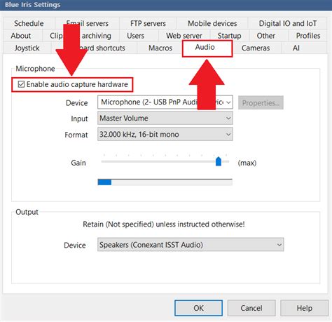 Silent Struggles: Troubleshooting Blue Iris Audio Not Functioning