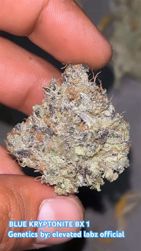 Blue Kryptonite Weed