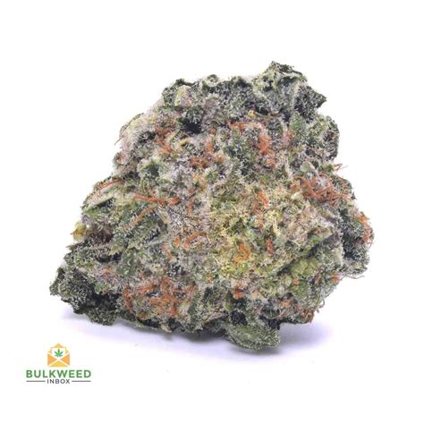 Blue Mataro Weed