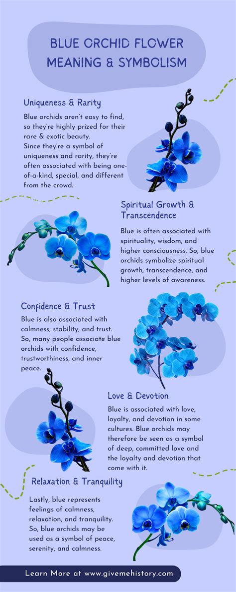 Blue Orchid Flower Meaning
