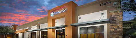 Expert Pet Care at Blue Pearl Animal Hospital Avondale - Your Top Choice for Quality Veterinary Services