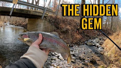 Blue Ridge Trout Farm