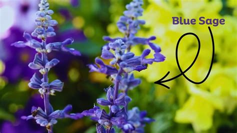 Discover Incredible Real Estate with Blue Sage Properties in PA