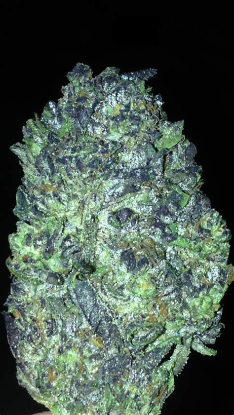 Blue Skittles Weed