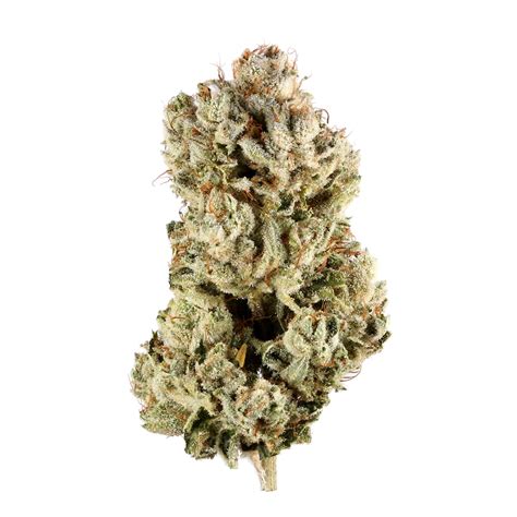 Blue Steel Weed