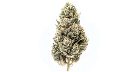 Blue Thai Weed Strain