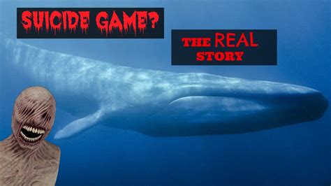 Blue Whale Game Facts