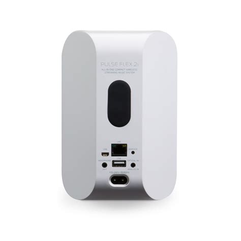 BlueSound Pulse Flex 2i audio