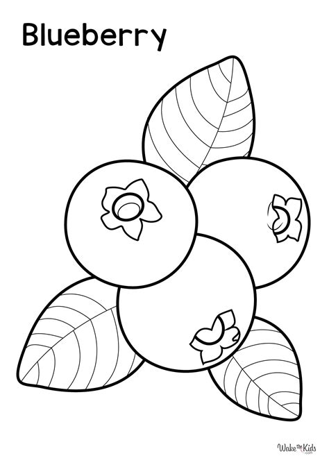 Blueberries Coloring Page