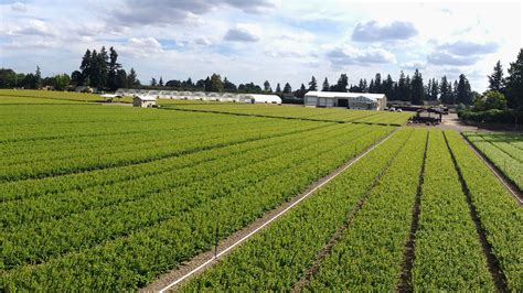 Blueberry Ridge Farm Sherwood Oregon