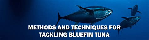 Bluefin Tuna fishing techniques
