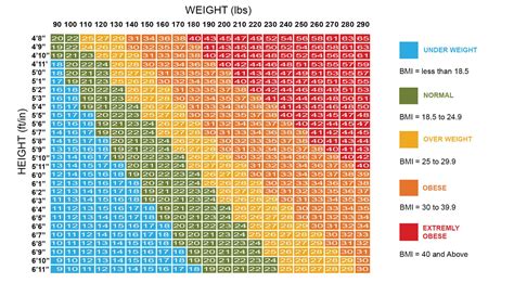 Bmi Calculator Male