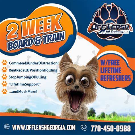 Board and Train Programs: Fast-Track Results