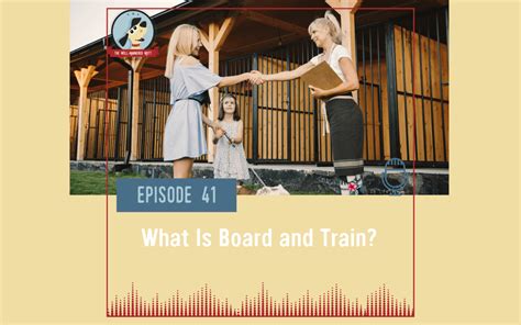 Board-and-Train vs. Owner-Assisted Programs