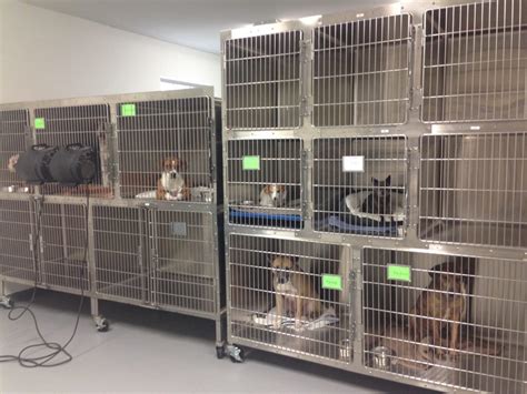 Boarding at Veterinary Clinics