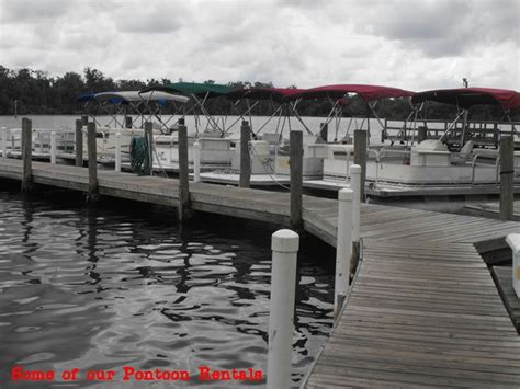 A Pontoon Boat Ride on Homosassa River, Florida
