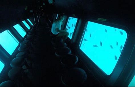 Boat Cruise Drawbacks