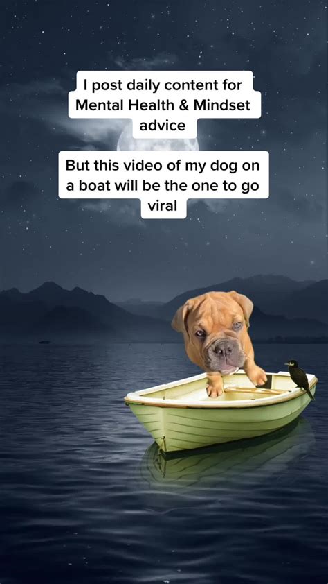 Boat Dog Meme