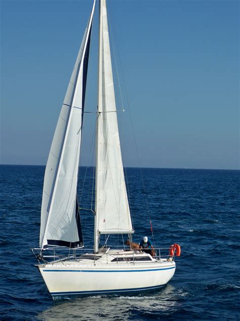 Boat Sailing