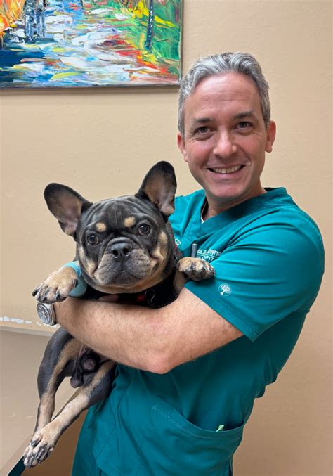 Boca Midtowne Animal Hospital: Comprehensive Pet Care Services in Boca Raton