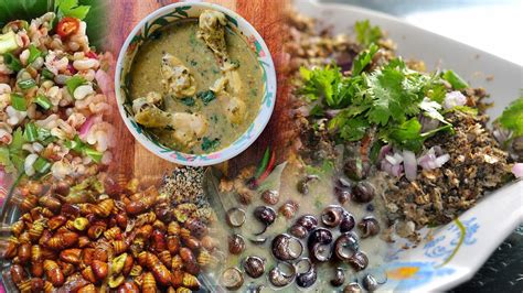 Bodo Food