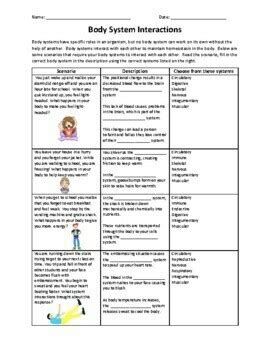 Body System Interactions Worksheet